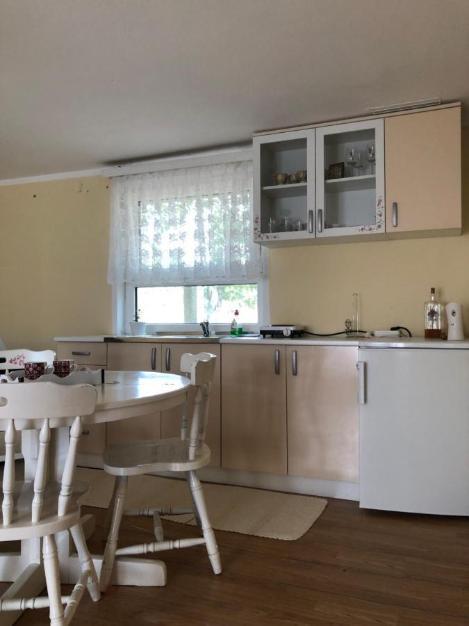 Ferienwohnung Kuca Za Odmor Davidovic Despotovac Exterior foto