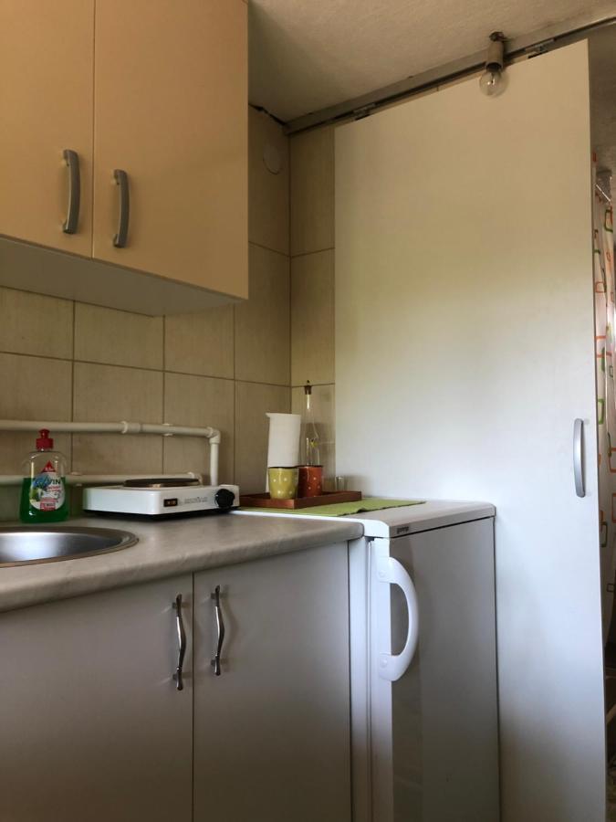 Ferienwohnung Kuca Za Odmor Davidovic Despotovac Exterior foto